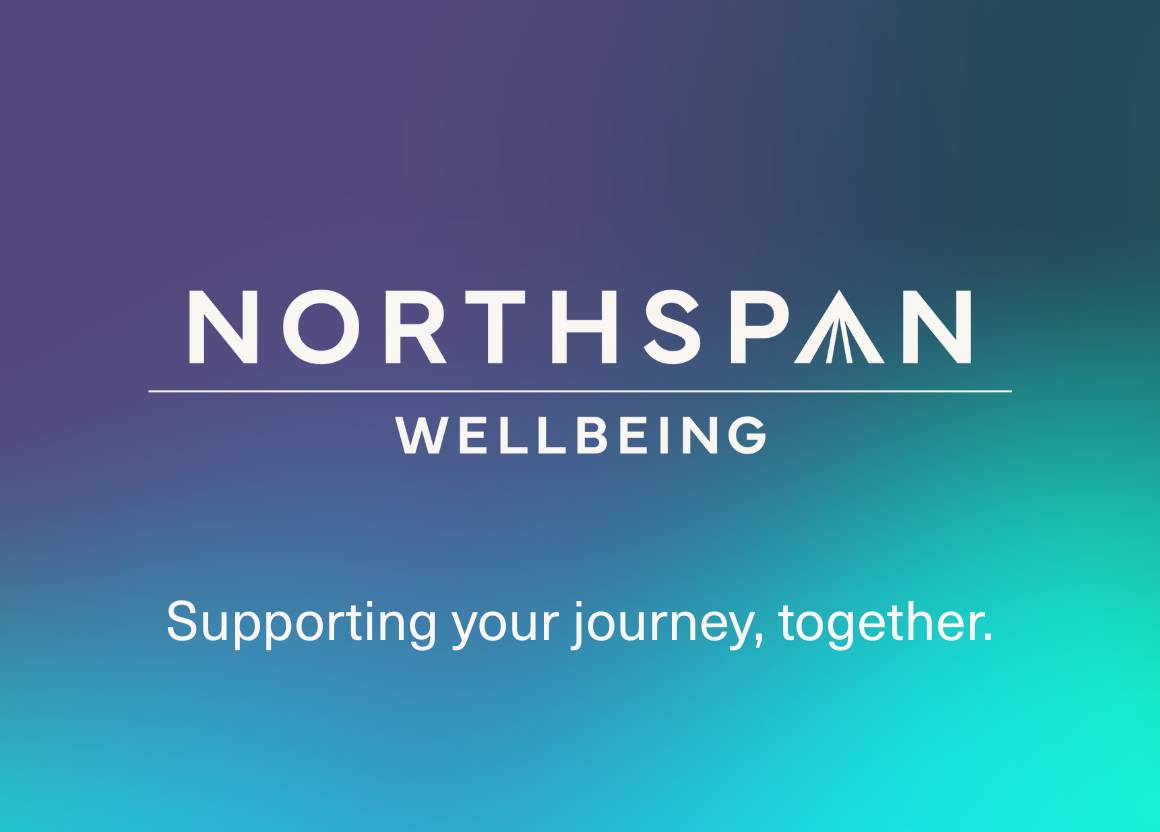 Northspan Website Tile